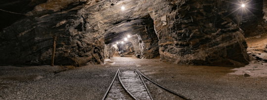 From Fine Art to Mining Leadership